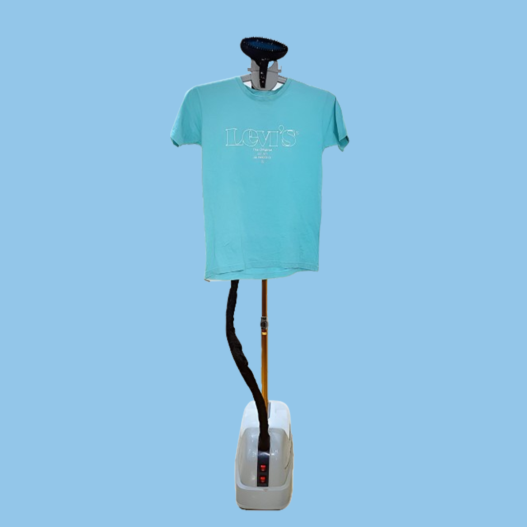 Standing Steam Iron Manufacturers in India